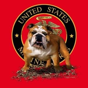 Meet your Posher, Dan